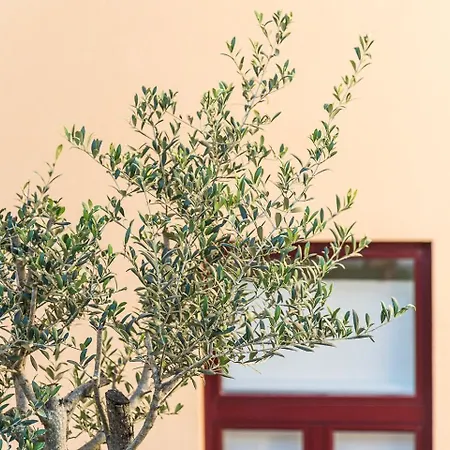 Appartamento Guestready - Easygoing Pool To River *